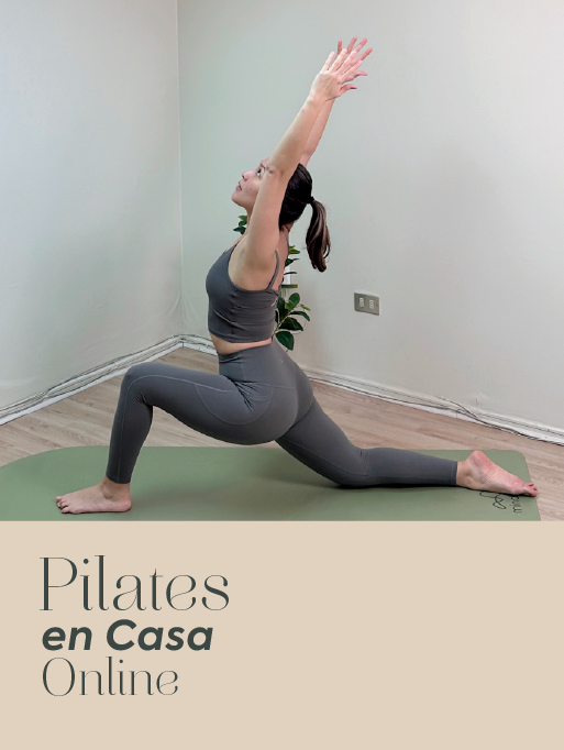 Más sobre este programa